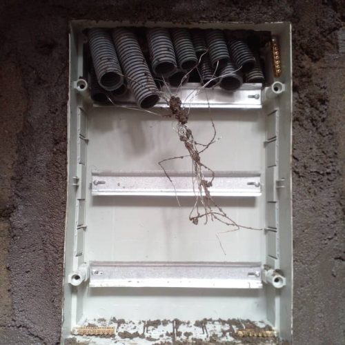 WhatsApp Image 2024-05-14 at 04.50.28_68142d31